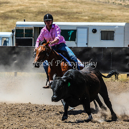 AdaminabyCampdraft2015_0348