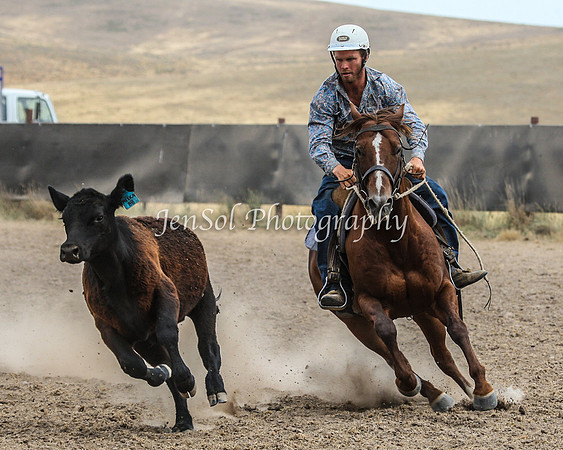 AdaminabyCampdraftSun2015_3473