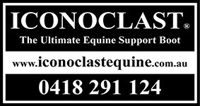 LogoWeb