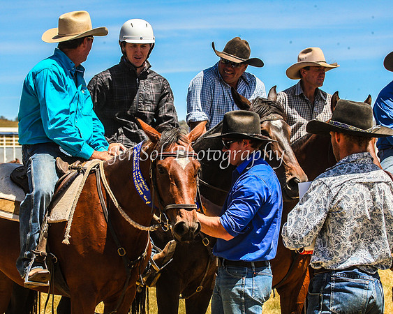 AdaminabyCampdraft2015_0338