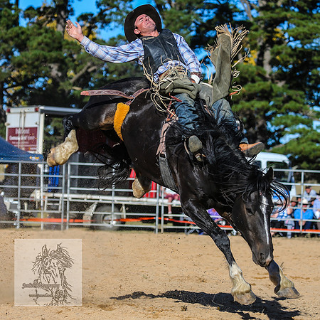BraidwoodRodeo2015_4155