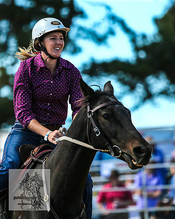 BraidwoodRodeo2015_1317