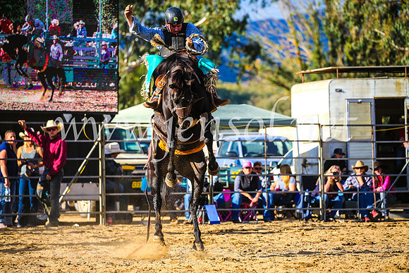 TumutRodeo2017_2482