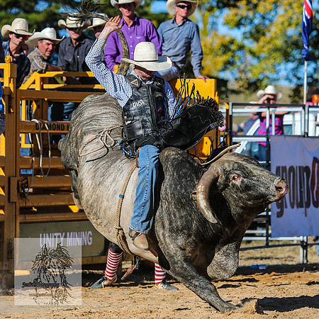 BraidwoodRodeo2015_3988