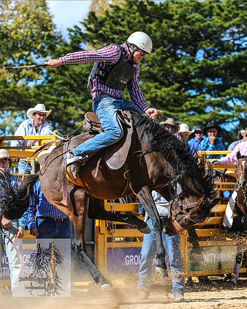 BraidwoodRodeo2015_2652
