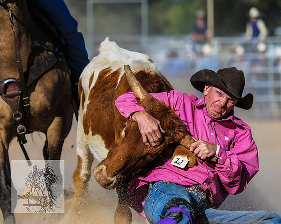 BraidwoodRodeo2015_4060