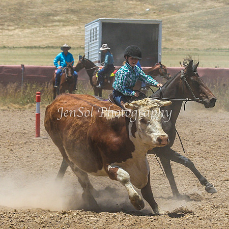 AdaminabyCampdraft2015_0412