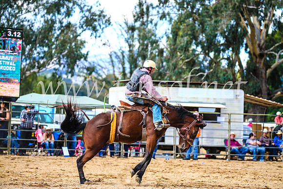 TumutRodeo2017_1562