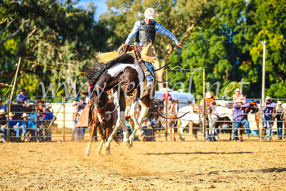 TumutRodeo2017_2568