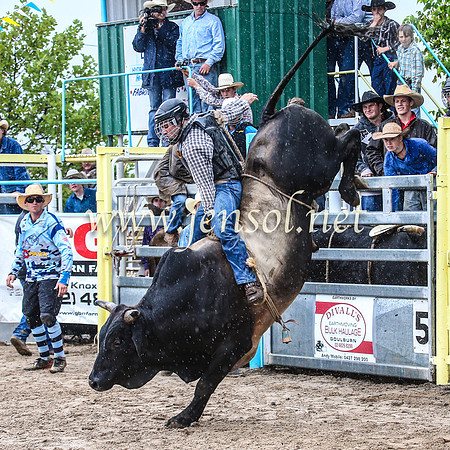 GoulburnRodeo2014_0970