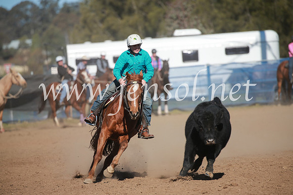 CCCampdraft2016_6161