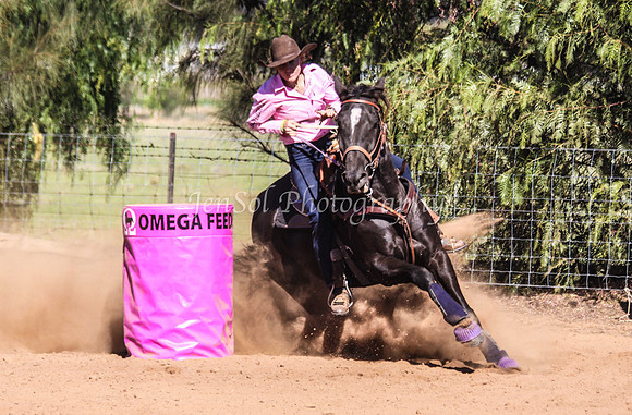 Dubbo2 363