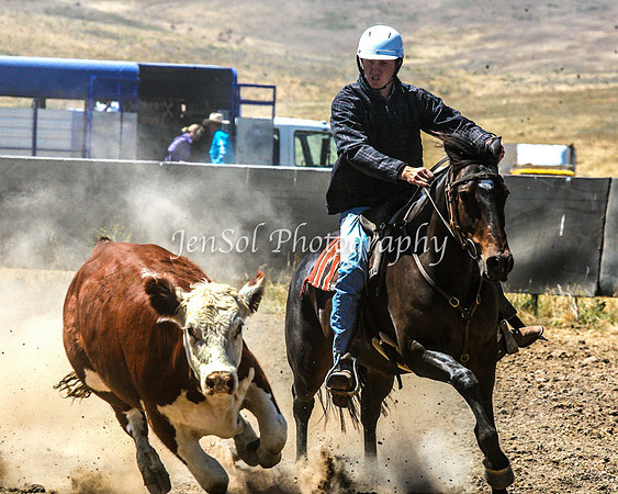 AdaminabyCampdraft2015_0287