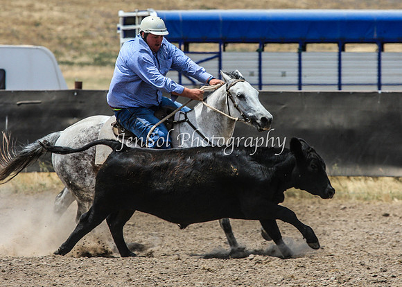 AdaminabyCampdraftSun2015_3029