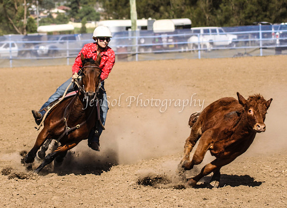 IMG_0666CCCSun
