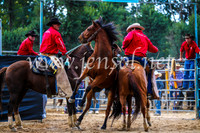 TumutRodeo2017_1384