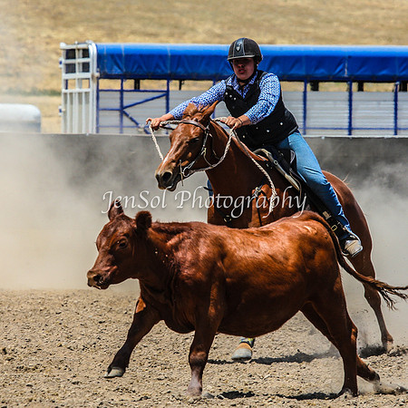 AdaminabyCampdraftSun2015_3166