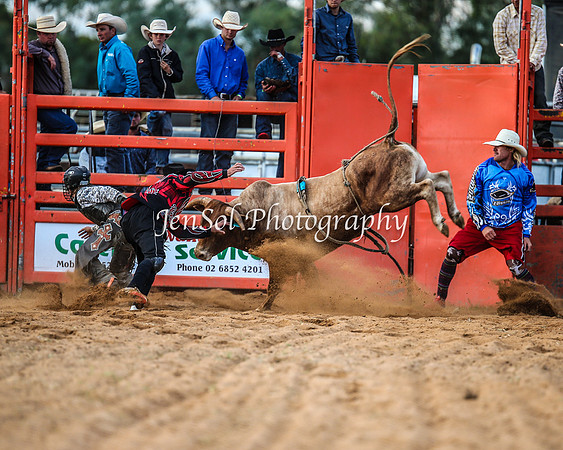 ForbesRodeo2014_2465