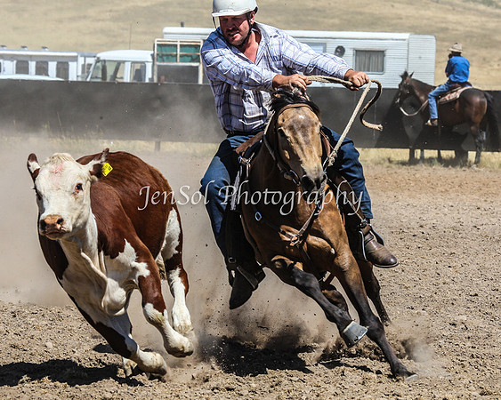 AdaminabyCampdraft2015_0591