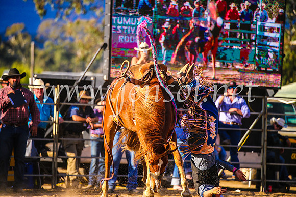 TumutRodeo2017_2631