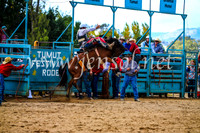 TumutRodeo2017_1343