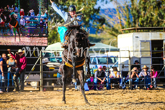 TumutRodeo2017_2480