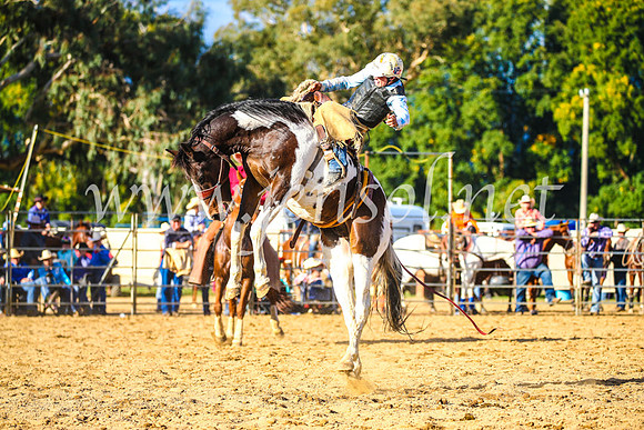 TumutRodeo2017_2573