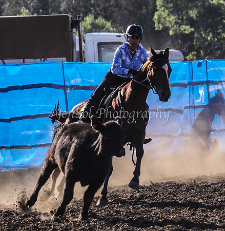 IMG_0160CCCSun