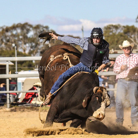 IMG_0567Jindy