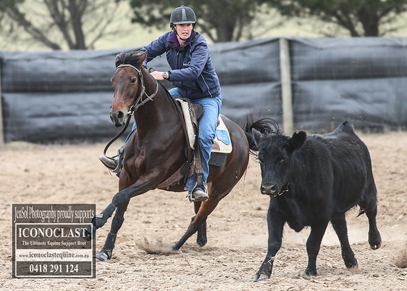 GoulburnCampdraft2018_7714