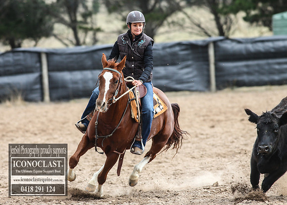 GoulburnCampdraft2018_7731