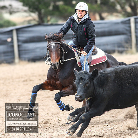 GoulburnCampdraft2018_7746