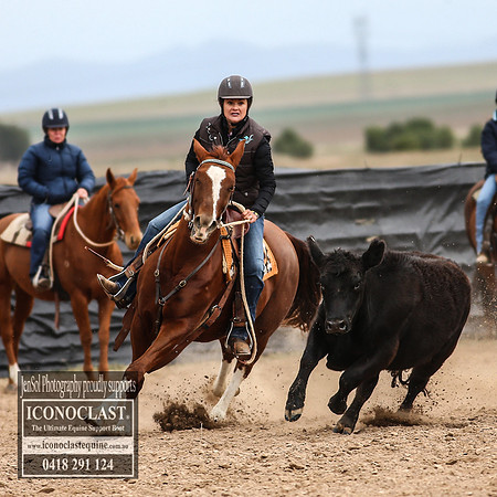 GoulburnCampdraft2018_7735