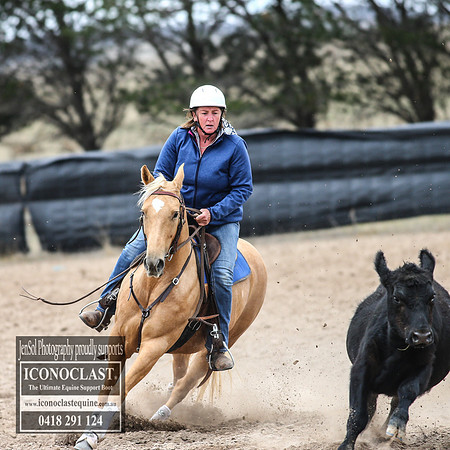 GoulburnCampdraft2018_7766