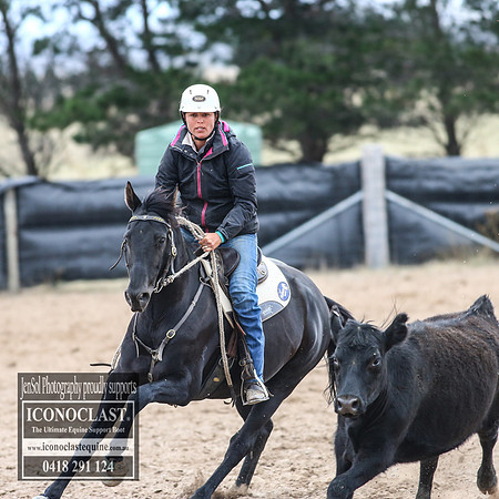 GoulburnCampdraft2018_7772