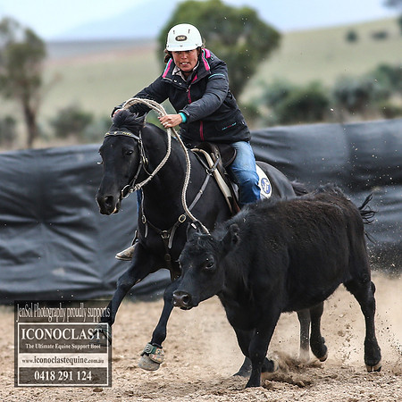 GoulburnCampdraft2018_7780