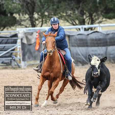 GoulburnCampdraft2018_7810