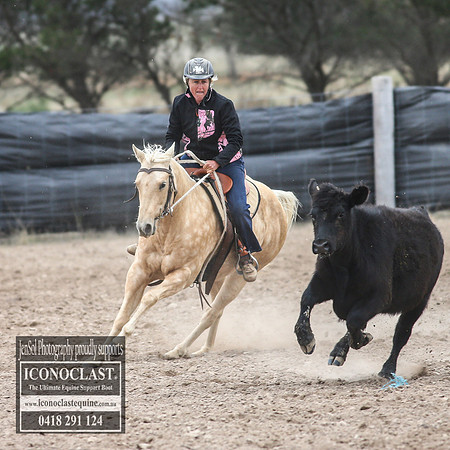 GoulburnCampdraft2018_7842