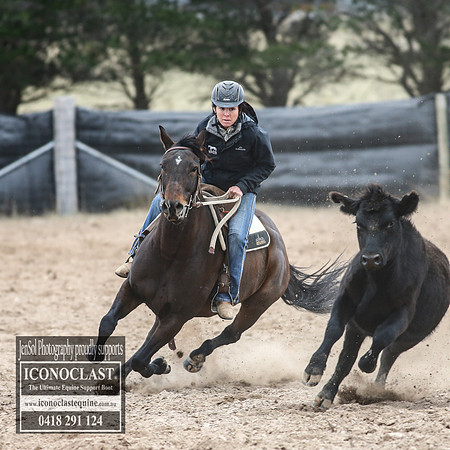 GoulburnCampdraft2018_7851