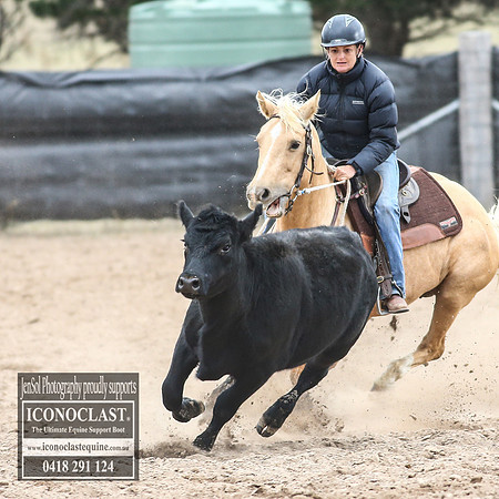 GoulburnCampdraft2018_7866