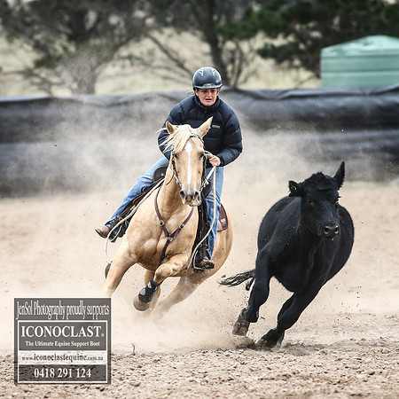 GoulburnCampdraft2018_7873
