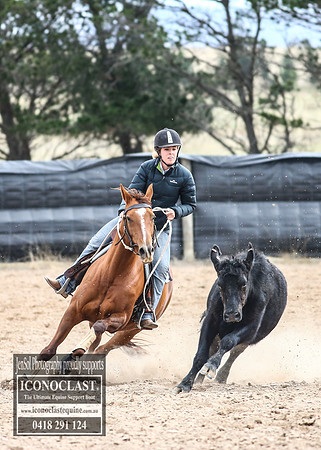 GoulburnCampdraft2018_7888