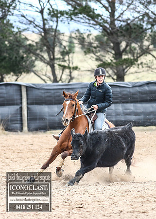 GoulburnCampdraft2018_7890