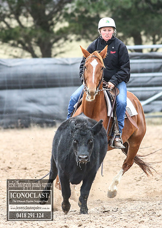 GoulburnCampdraft2018_7901