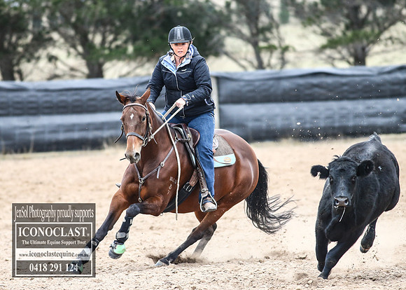 GoulburnCampdraft2018_7909