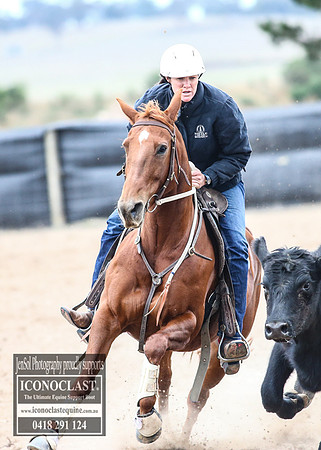 GoulburnCampdraft2018_7927