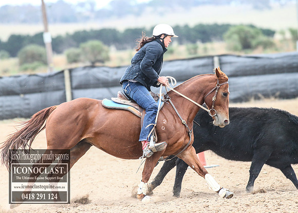 GoulburnCampdraft2018_7962