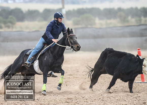 GoulburnCampdraft2018_7978