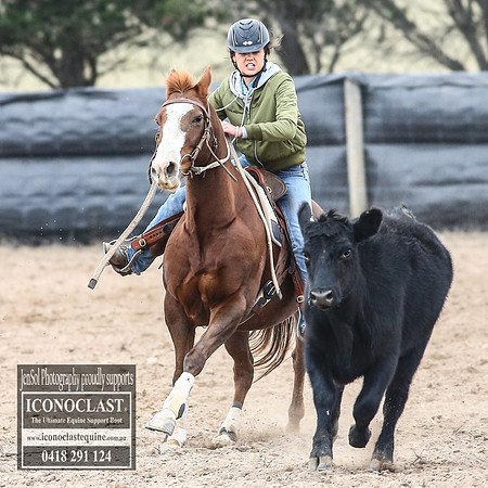 GoulburnCampdraft2018_7997