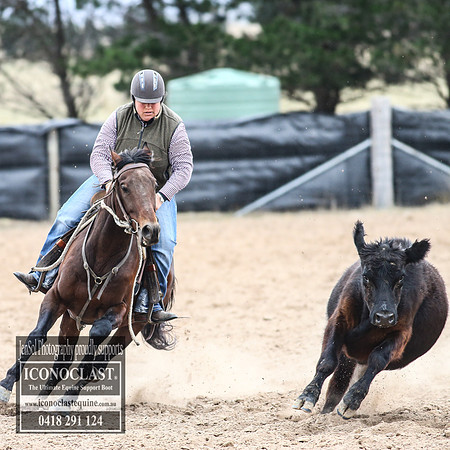 GoulburnCampdraft2018_8016